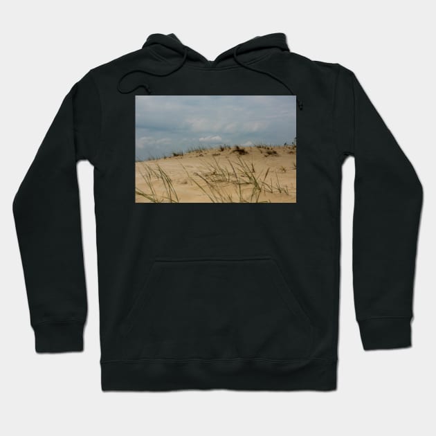 Sand dunes in Letea forest , in the Danube Delta area, Romania, in a sunny summer day Hoodie by NxtArt